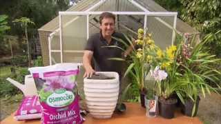 Grow your own orchids using Osmocote Professional Orchid Mix [upl. by Herminia]