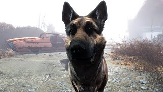 The Hilarious Way Fallout 4 Deals with Missing Dogmeat [upl. by Tenney985]