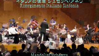 イタリアの復活 Risorgimento Italiano Sinfonia  ジュセッペ・アネリ Giuseppe Diego Anelli [upl. by Balsam326]