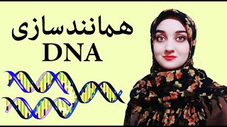 همانندسازی DNA [upl. by Veats532]