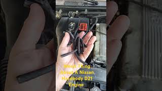 Worst Thing About the Nissan D21 Hardbody Engine [upl. by Atyekram868]