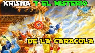 Krisna y el Misterio de la Caracola [upl. by Niwled444]