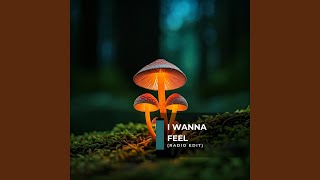 I Wanna Feel Radio Edit [upl. by Elisha]