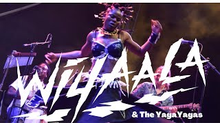 Wiyaala amp The YagaYagas  Kamfest Slovenia 2022 [upl. by Dave719]