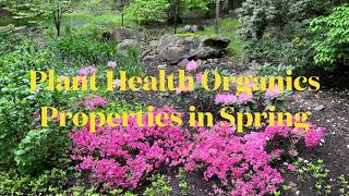 Springtime Properties in Central NJ including rhododendrons azaleas deutzia and more [upl. by Faun986]