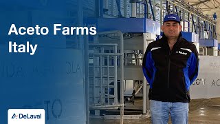 8x DeLaval VMS™ V300 milking robot – Automatic batch milking – Renato Aceto Italy [upl. by Naejamron]