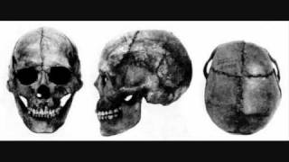 The facial type of the early FinnoUgrians [upl. by Leith]