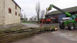 Des Arbres sont Tombés avec la Tempête [upl. by Buffum515]