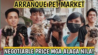 MGA BAGONG DATING ASO AT PUSA SA ARRANQUE PET MARKET TAWARAN NYO NA [upl. by Rhiana]