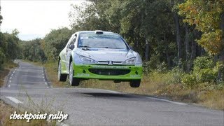 Best of Rallye 2012 HD Attack Showtime amp Crash Part 01 [upl. by Siegel788]