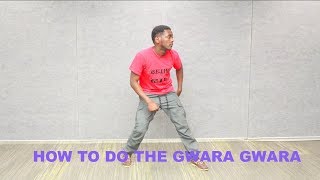 How to dance the Gwara Gwara Tutorial [upl. by Rosaleen]