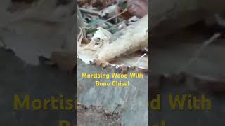 Mortising Wood With Bone Chisel woodworking bushcraft paleotech [upl. by Kilbride]