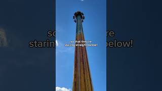 Busch Gardens’ FACEFIRST Drop Tower [upl. by Swithbart]