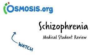 Schizophrenia Overview  Clinical Presentation [upl. by Naitsirt109]