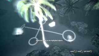 Assassins Creed 4 Black Flag  Cat Island Mayan Stone Location and Code [upl. by Llenreb638]