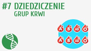 Dziedziczenie grup krwi 7  Genetyka [upl. by Jacquetta]