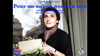 Nathalie Sarraute  Pour un oui ou pour un non  Résumé amp Fiche de lecture  Bac de Français 2025 [upl. by Eirrotal428]