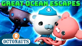 Octonauts  🌊 Great Ocean Escapes 🛟  80 Mins Compilation  Underwater Sea Education for Kids [upl. by Ennovad542]