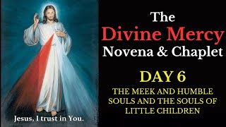 Divine Mercy Novena amp Chaplet  Day 6 [upl. by Dolloff]