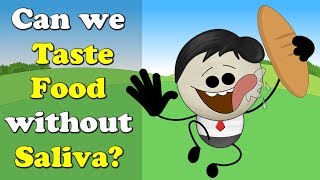 Can we Taste Food without Saliva  more videos  aumsum kids science education children [upl. by Gates]