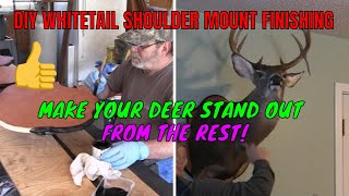 DIY Whitetail Taxidermy Enhanced Finishing Touches [upl. by Kirt824]