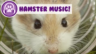 Hamster Music New Relaxing Music to Help You and Your Hamster Sleep [upl. by O'Conner]