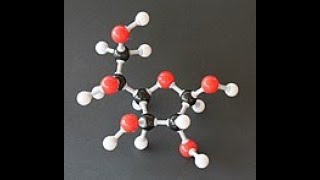 Carbohydrates Mono amp Disaccharide [upl. by Debby]