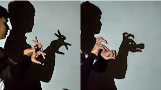 Hand shadow Performance  Amazing video [upl. by Ailaro]