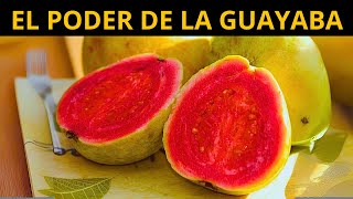 ¡IMPRESIONANTES BENEFICIOS ¿Por Qué DEBES COMER GUAYABA Todos los Días [upl. by Mccall]