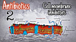 Antibiotics 2  polymyxins [upl. by Grannia]