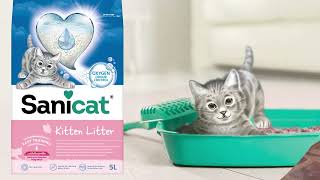 Sanicat Easy Training Kitten Litter [upl. by Douglass]