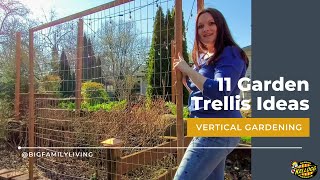 11 Garden Trellis Ideas [upl. by Janyte]