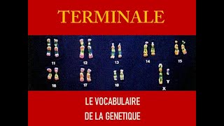 vocabulaire de la génétique [upl. by Seidel]