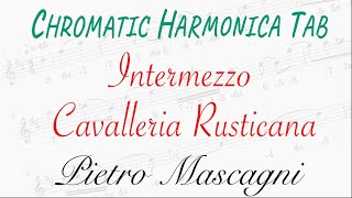 Intermezzo from Cavalleria Rusticana by Pietro Mascagni  Chromatic Harmonica Tab No 26 [upl. by Alyek]