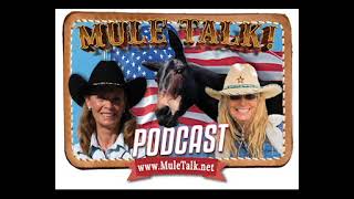 What are mules good for besides packing and farming with Meredith Hodges and Cindy k Roberts [upl. by Figge121]