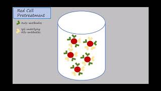 Haemagglutination test [upl. by Desirea]