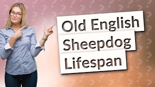 What is the average lifespan of an Old English Sheepdog [upl. by Argus]