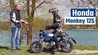 Test Honda Monkey 125 Môžeš sa jej smiať ale  motocykelsk [upl. by Anyahc372]