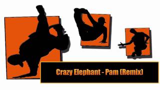 Crazy Elephant  Pam Remix [upl. by Refiffej]