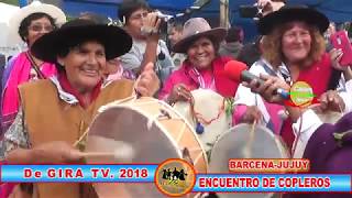 ENCUENTRO de COPLEROS 2018 BARCENA JUJUY [upl. by Anwahsak]