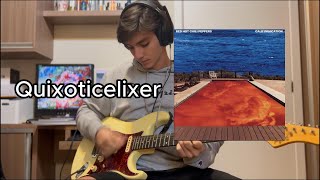 Quixoticelixer  Red Hot Chilli Peppers guitar cover [upl. by Eyllib]