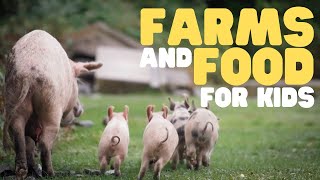 Farms and Food for Kids  Learn how food comes from a farm to your table [upl. by Yuu408]