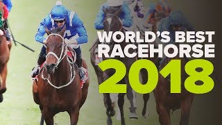 WORLDS BEST RACEHORSE 2018 [upl. by Dionne]