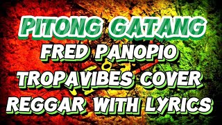 PITONG GATANG fred panopio  Tropavibes cover  regggae with lyrics [upl. by Boonie227]