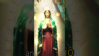 virgendeguadalupe amor fe oración a la virgen de Guadalupe [upl. by Raychel269]