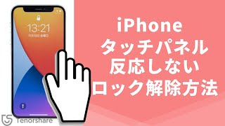 【iPhoneロック解除】iPhoneのタッチパネルが反応しない時のロック解除方法｜Tenorshare 4uKey [upl. by Pears741]