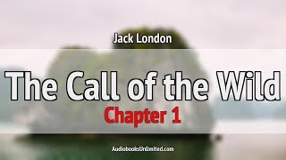 The Call of the Wild Audiobook Chapter 1 [upl. by Puttergill]