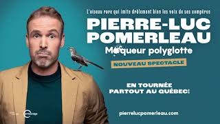 PierreLuc Pomerleau  Moqueur polyglotte [upl. by Haduhey]