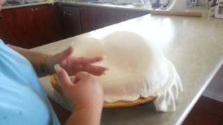 How to make a 3D Dinosaur Cake Part 3 of 5 [upl. by Nivle]