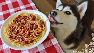 We Made Spaghetti For Dogs  DIY Dog Treats [upl. by Lora]